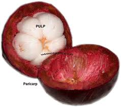 File:Mangosteenfruit.jpg