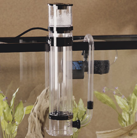 File:Best Aquarium Filters.jpg