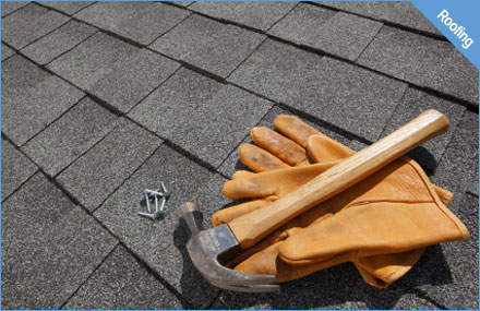 File:Roof9.jpg