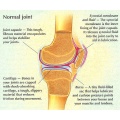 Thumbnail for version as of 06:15, 28 October 2011