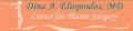 Plastic Surgery Chelmsford, Massachusetts Cosmetic Surgery.jpg