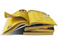 Thumbnail for version as of 06:19, 20 July 2011