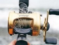 Thumbnail for version as of 10:30, 22 August 2012